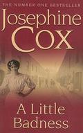 A Little Badness by Josephine Cox