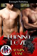 Burning Love by Shawn Lane