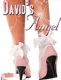 David's Angel by Stephanie Beck
