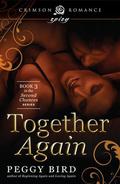 Together Again (Second Chances #3) by Peggy Bird
