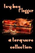 Toy Box: Flogger (Toy Box #1) by Jay Lygon