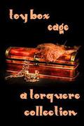 Toy Box: Cage (Hammer #9.6) by M. Rode