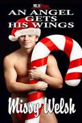 An Angel Gets His Wings (Wonderful Life #2) by Missy Welsh