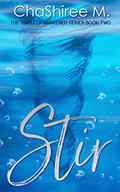 Stir (Sinfully Awakened #2) by ChaShiree M.
