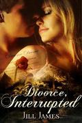 Divorce, Interrupted (Lake Willowbee #1) by Jill James