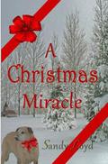 A Christmas Miracle (Running #1) by Sandy Loyd