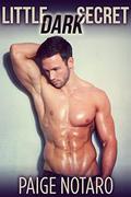 Little Dark Secret (Storm's Soldier #2) by Paige Notaro
