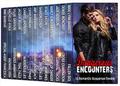 Dangerous Encounters: 13 Romantic Suspense Novels by Denise Moncrief