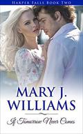 If Tomorrow Never Comes (Harper Falls #2) by Mary J. Williams