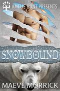 Snowbound (Arctic Station Bears #1) by Amelie Hunt