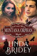 Montana Orphan (Echo Canyon Brides #8) by Linda Bridey