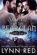 Torn (Shared by the Bear Clan Serial / #2) by Lynn Red