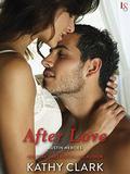 After Love (Austin Heroes #1) by Kathy Clark