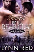 Ravaged (Shared by the Bear Clan Serial / #3) by Lynn Red