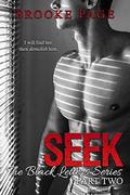 SEEK: Part Two. A Romantic Suspense Series: The Black Letters series by Brooke Page
