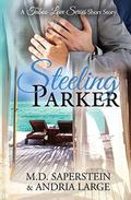 Steeling Parker (A Taboo Love #3.5) by Andria Large