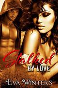 Stalked By Love: Contemporary Romance / New Adult by Meg Amor
