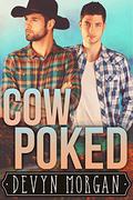 Cow Poked by Devyn Morgan