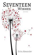 Seventeen Wishes: A Novella by Erica Alexander