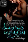 Dangerous Encounters: Twelve Book Boxed Set by K.L. Kreig