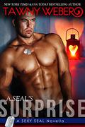 A SEAL’s Surprise by Tawny Weber