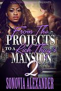 From the Projects to a Rich Thug's Mansion 2 by Sonovia Alexander