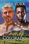 Leaving Colorado (Colorado Protectors #9) by Sara York