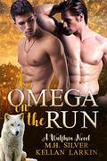 An Omega on the Run (Wulfbrin #1) by Kellan Larkin