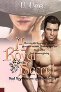 A Royal Secret: Book 1  (Bad Boy Princes of Malvidence) by V. Vee