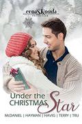 Under the Christmas Star (Crossroads Collection #3) by Lesley Ann McDaniel