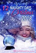 12 Naughty Days of Christmas 2018 by Mary Auclair
