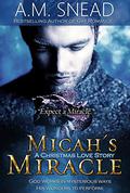 Micah's Miracle by A.M. Snead