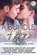A Bundle of Joy (Vale Valley Season One #12) by Connor Crowe