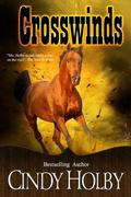 Crosswinds by Cindy Holby