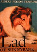 Lad of Sunnybank (Lad #3) by Albert Payson Terhune