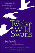 The Twelve Wild Swans: A Journey to the Realm of Magic, Healing and Action by Starhawk