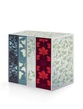 The Brontë Sisters Boxed Set: Jane Eyre; Wuthering Heights; The Tenant of Wildfell Hall; Villette by Anne Brontë