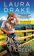 Home at Chestnut Creek / Wild Cowboy Ways (Chestnut Creek #2) by Laura Drake