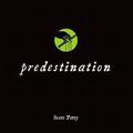 Predestination (Little Black Books #1) by Scott Petty