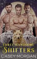 Three Handsome Shifters by Casey Morgan