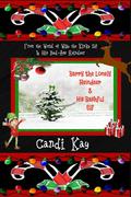 Barry the Lonely Reindeer & His Bashful Elf (Willy the Kinky Elf & His Bad-Ass Reindeer #4) by Candi Kay
