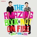 The Amazing Book is Not on Fire by Daniel Howell, Phil Lester