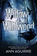 Widow of Wildwood (Gothic Fairytales #3) by Ann Aguirre