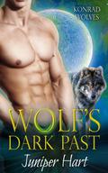 Wolf's Dark Past by Juniper Hart
