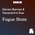 Fugue State by Steven Barnes