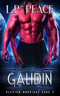Galidin by L.P. Peace