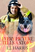 Every Picture Tells a Story by L.J. Harris