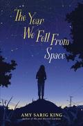 Year We Fell From Space by Amy Sarig King
