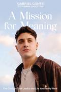 A Mission for Meaning: The Choices That Lead to the Life You Really Want by Mark Dagostino