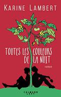 Toutes les couleurs de la nuit by Karine Lambert